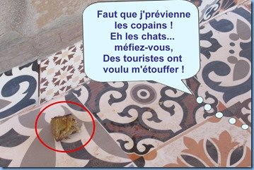 Chat 5