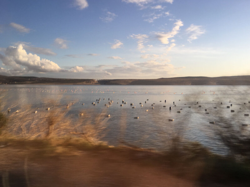 Velebitski Kanal, parcs à huîtres et moules, 6 mars 2020