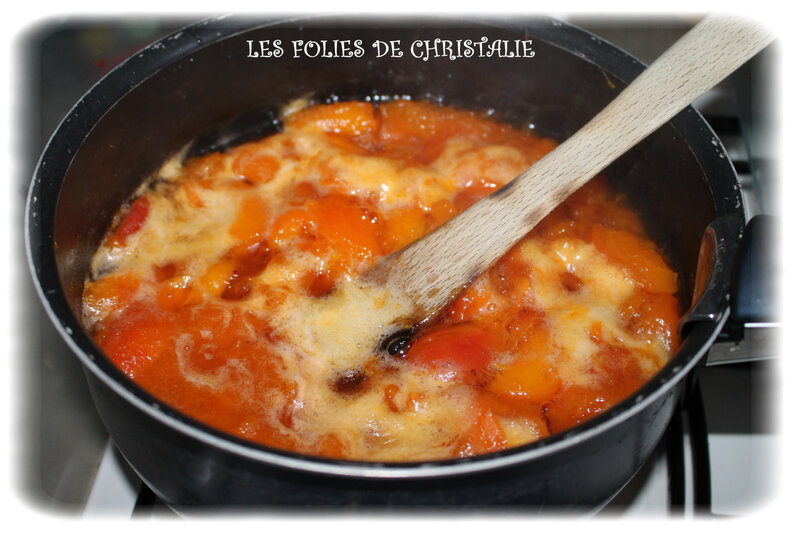Glace abricots 1