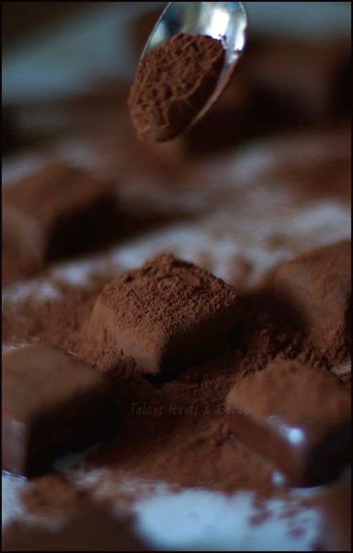 ganache_cacao_copie
