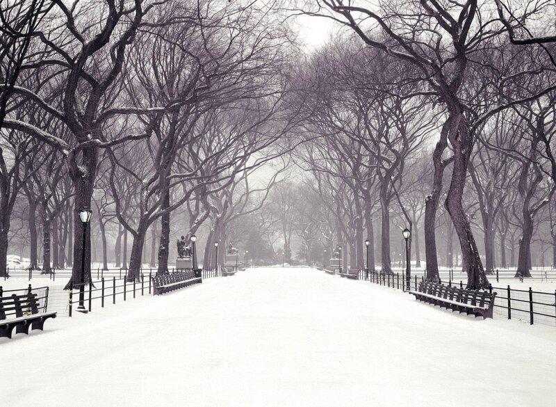 central-park-wallpaper-snow