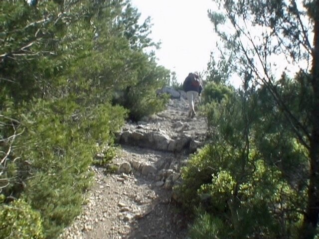 sentier rocailleux