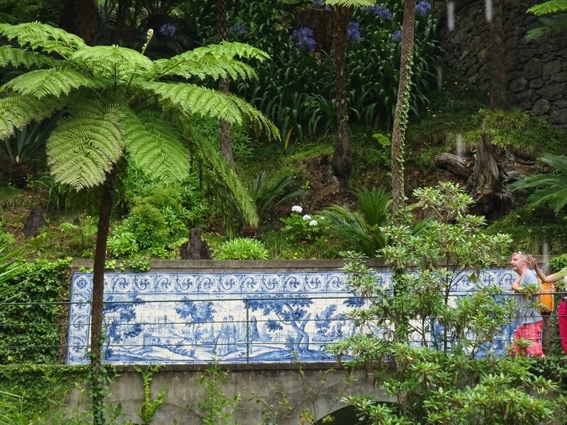 6 Jardin tropical