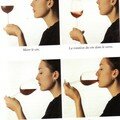 rituel degustation vin
