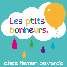 ptits-bonheurs-logo[1]