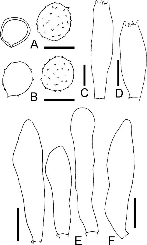 Fig 7