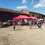 chez cathytutu visite ferme du carre vert romains ain producteur local viande gascogne cochon veau beouf bio eco responsable bio dynamique qualite 2