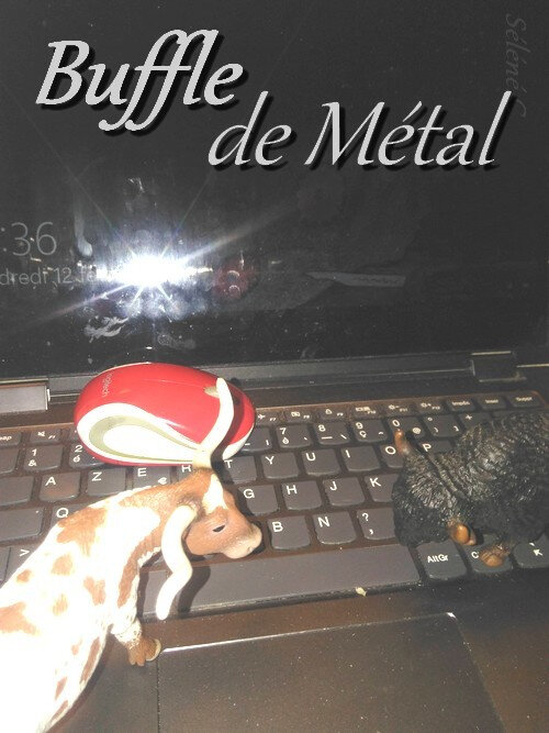 annee-du-Buffle
