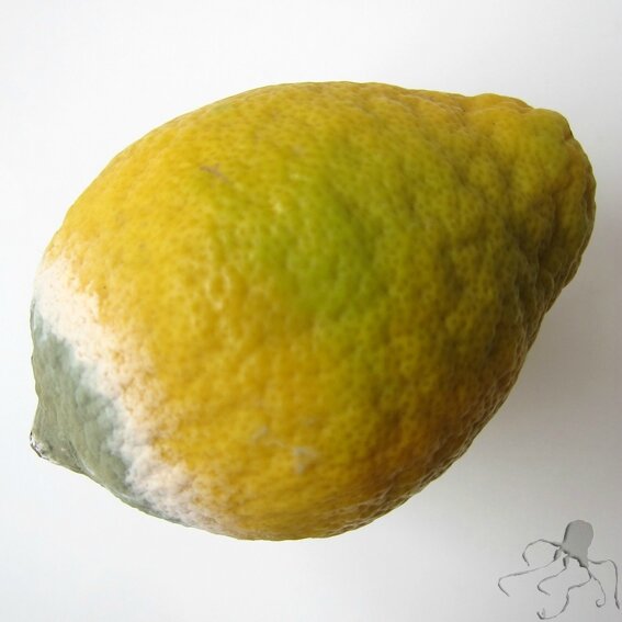 citron b