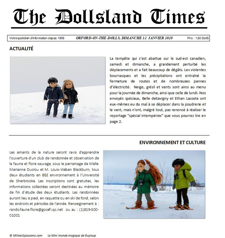 Dollsland Times 12-01-20