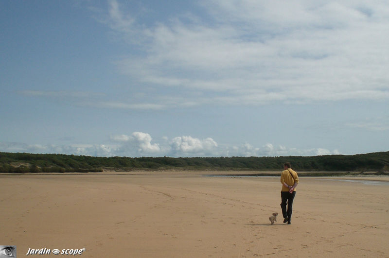 L'homme et son chien, sur la plage abandonnée…