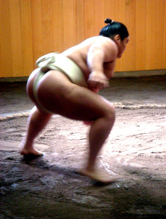 sumo3