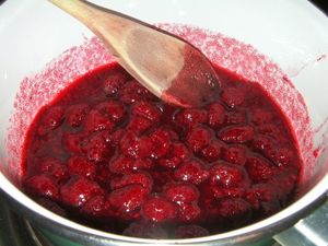 gatofu framboise et pomme gout noisette (2)