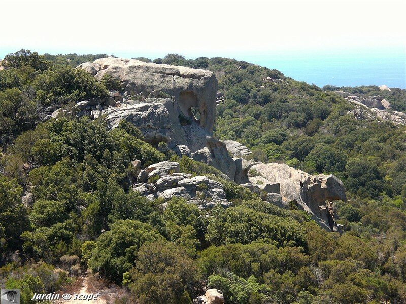 Roccapina - D'autres rochers aux formes évocatrices