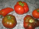 Tomates_bio_du_jardin_farcies_001