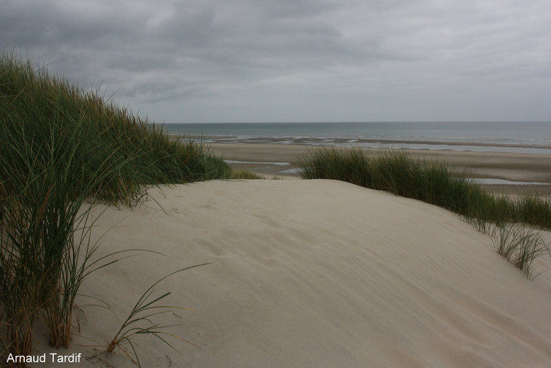 00908 Baie de Somme Septembre 2021 - La Baie d'Authie - Côté Fort-Mahon-Plage - Le bout du Sentier des Pêcheurs