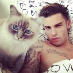 chat Gibson et Giabiconi