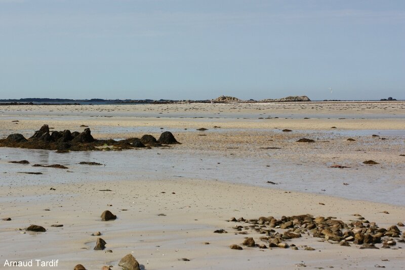 00105 Plouguerneau - Pays des Abers - Dunes de Sainte-Marguerite blog