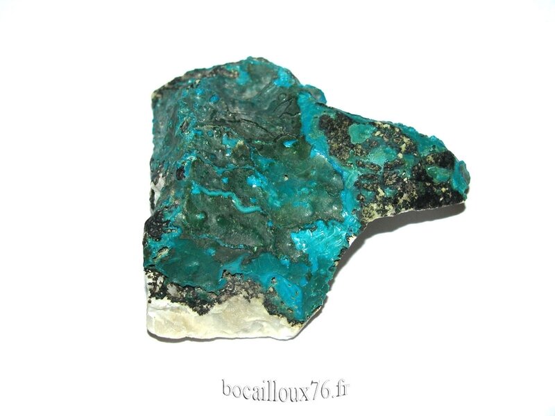 CHRYSOCOLLE J333 - Congo (4)