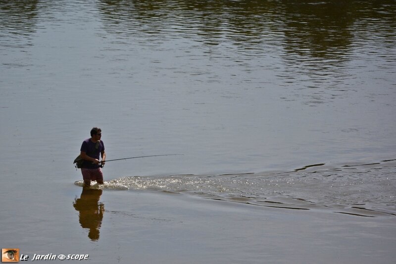 Pratique-de-la-pêche