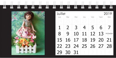 preview (7)