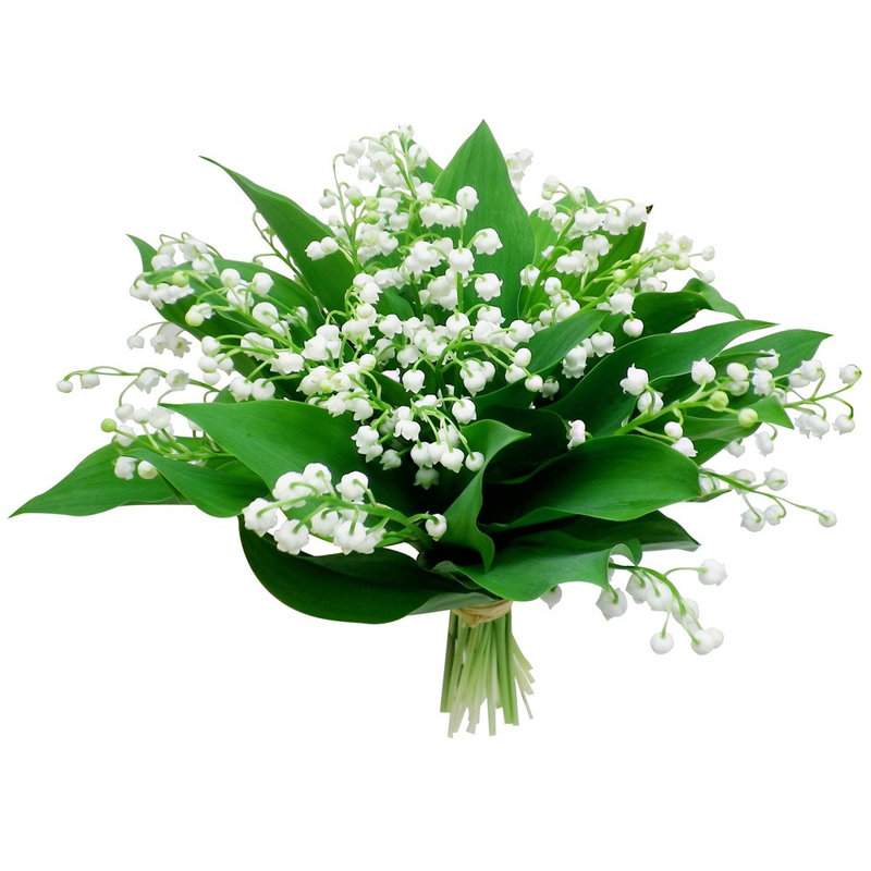 muguet-bouquet-100-muguet