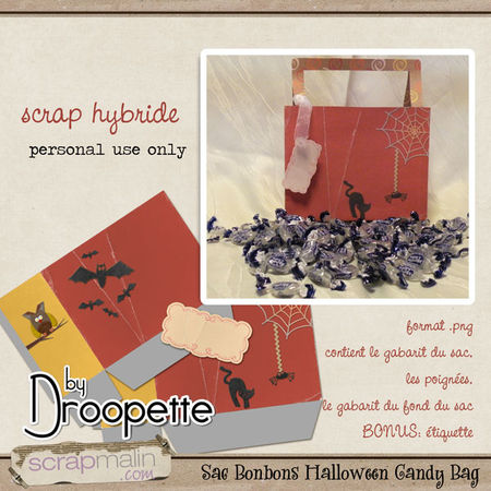 preview_droopette_halloweenbag