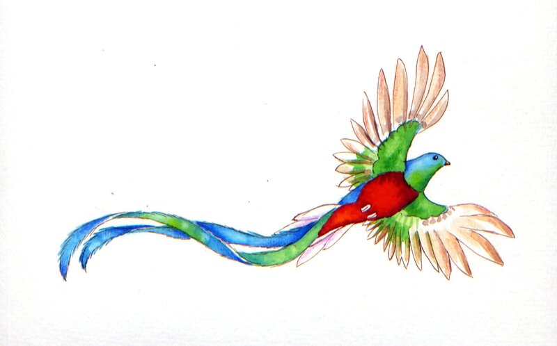 Quetzal-17