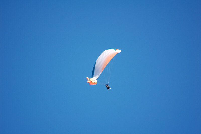 zoom (176)