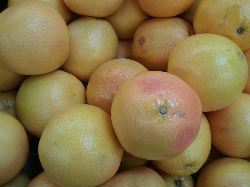 pamplemousses