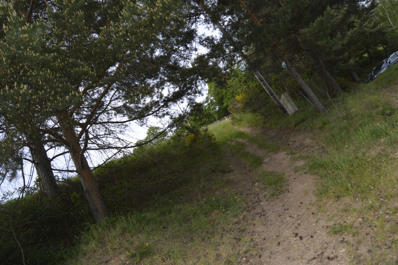 _DSC0272
