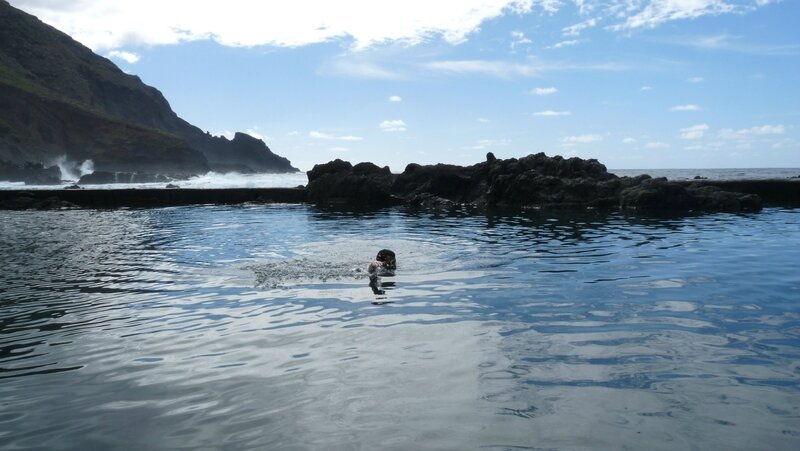 canaries10