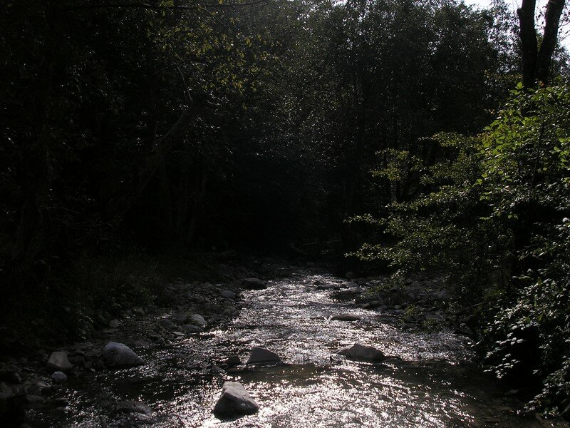 Near Brasov