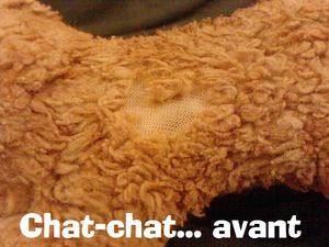 chatchat_d_aymeric