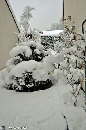 Cote_sud