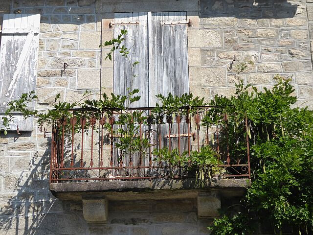 aa25