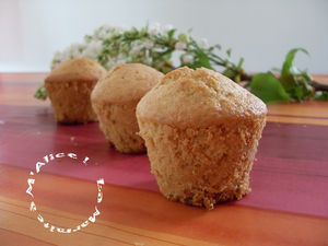 Muffin_Micogicoco_La_Marmite___M_Alice