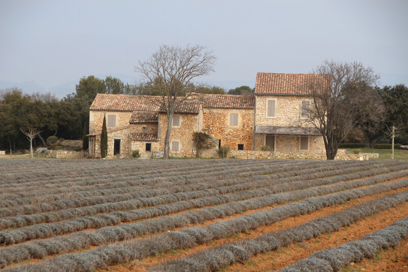 bonnieux (6)