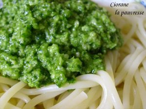 pistou_de_roquette_2