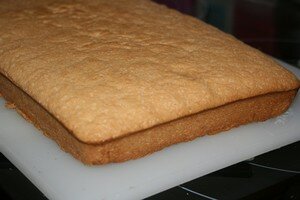 biscuit_de_savoie