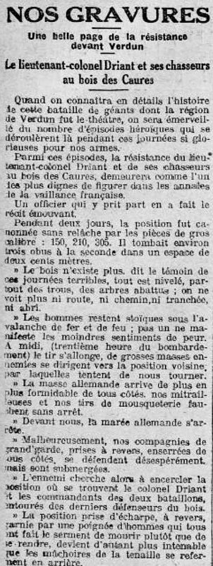driant bois des caures1