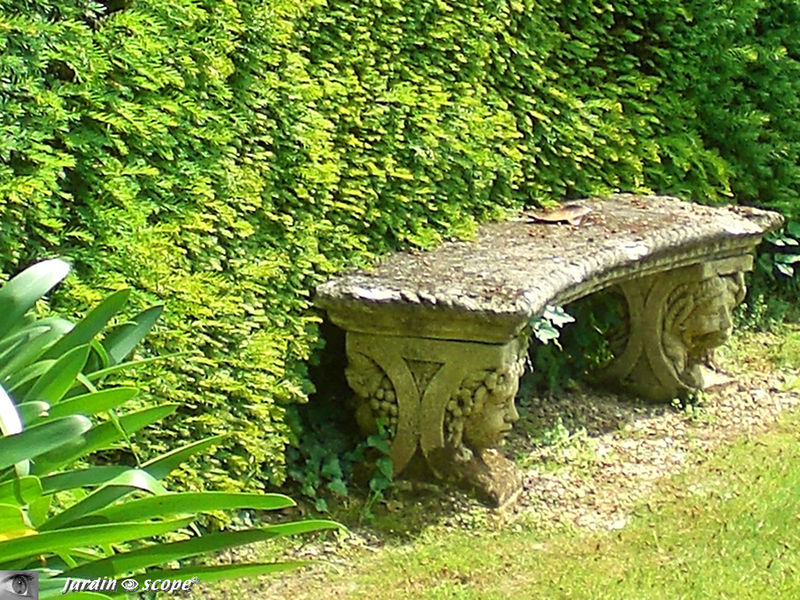 Banc de pierre au Grand Courtoiseau - 45 - Triguère