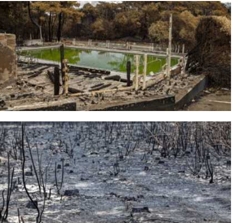 2022 07 27 SO les plages océanes défigurées par le feu5