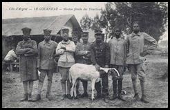 tirailleurs senegalais
