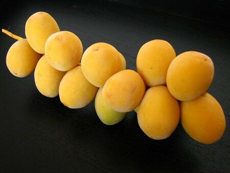 dattes_fraiches_rs