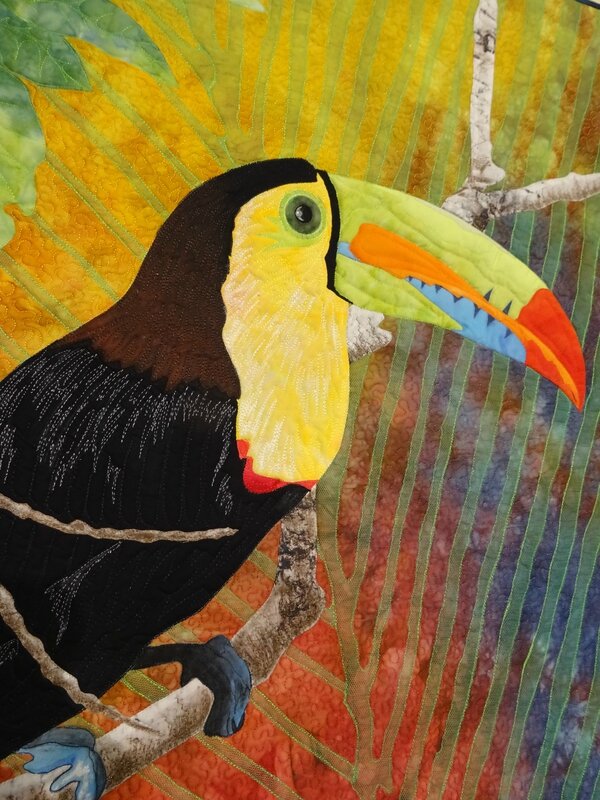 toucan 2