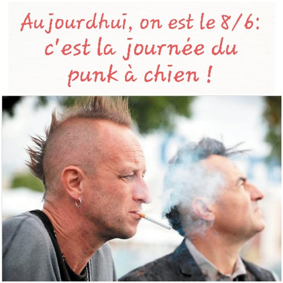 journée du punk à chien