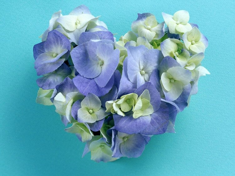 image_saint_valentin_119