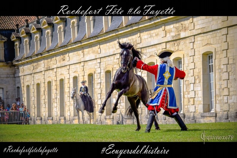 mousquetaire cheval rochefort ecuyer histoire (4)