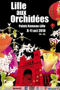 lille_aux_Orchidees